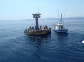 海洋観測ブイ調査