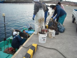 海岸の汚染　油除去作業